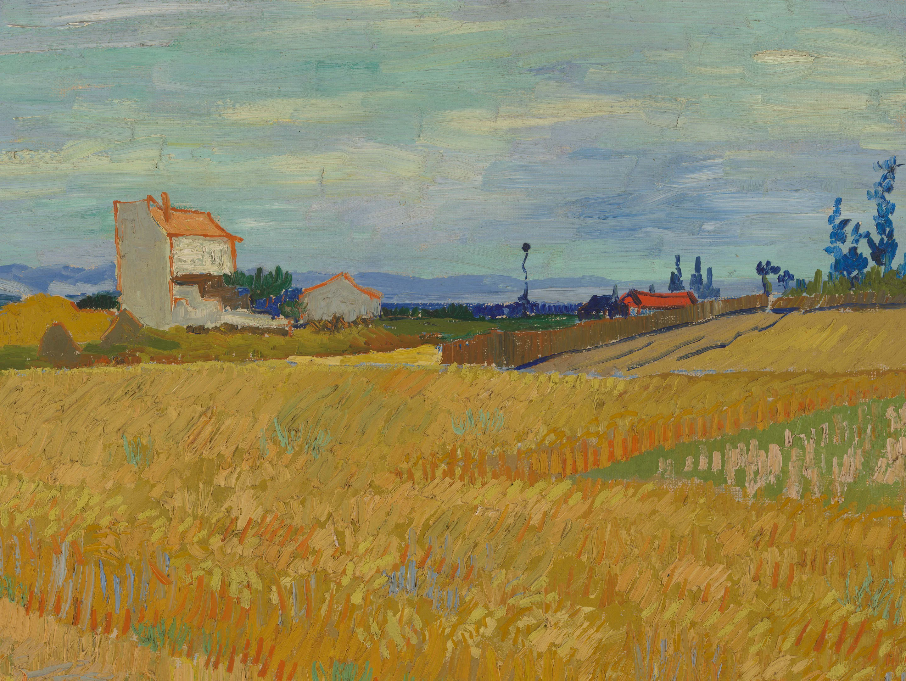 Van Gogh More on Show.